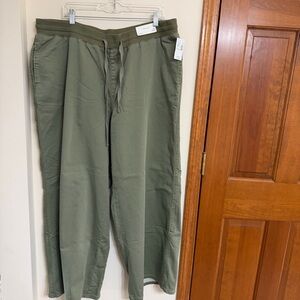 Maurices Men's Sage Green Joggers